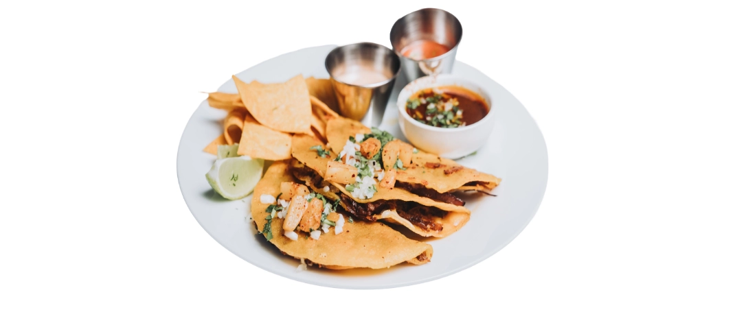 Birria Tacos (3)